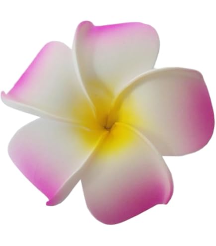 Amazon.co.jp: 髪飾り 花 10個 髪飾り ハイビスカス プルメリア